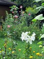 IMG_1090, (3)